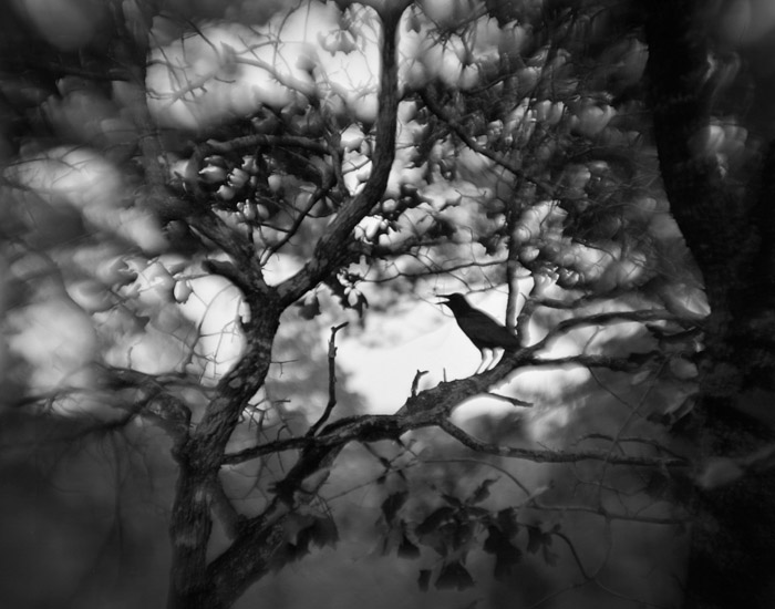 between here and there