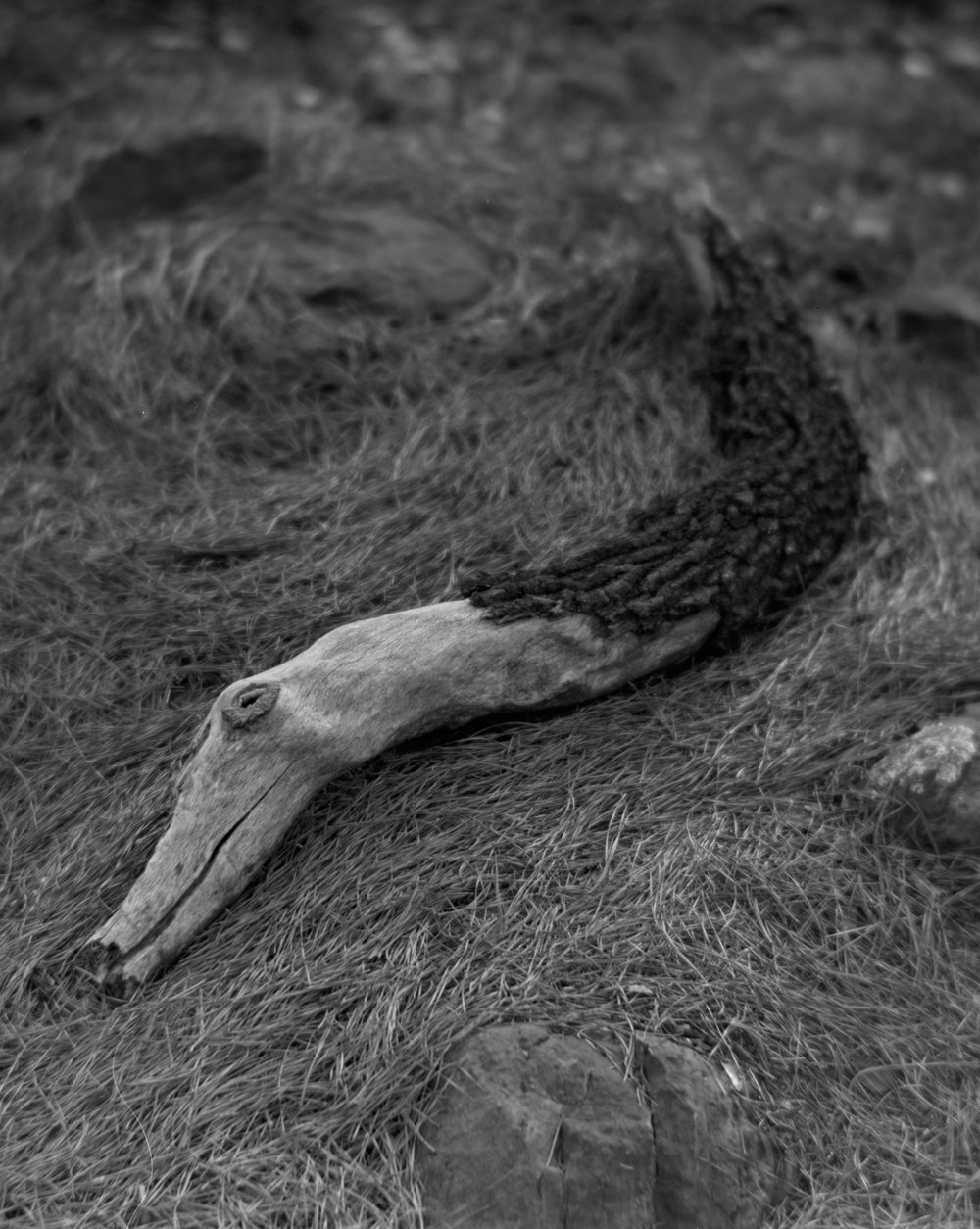 between here and there